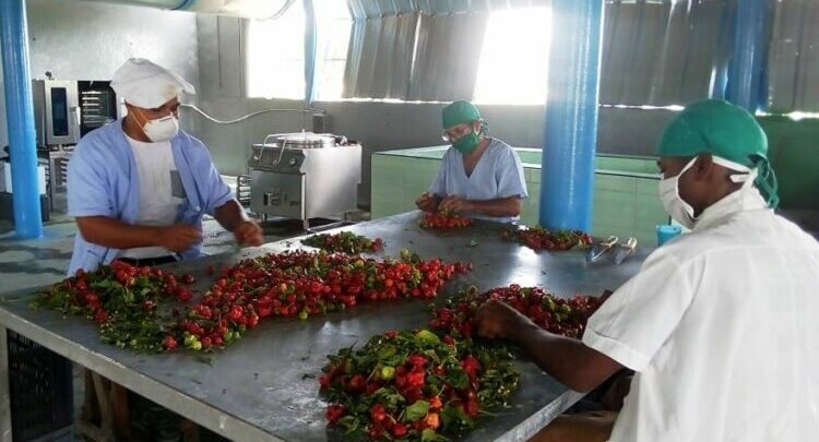 mini-industria cubaquivir frutas