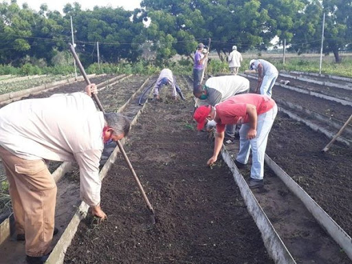 Agricultura Urbana en Sandino