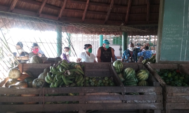 comercialización alimentos sandino