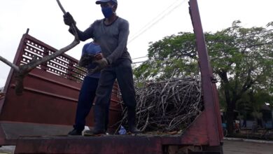 Trabajadores de los Servicios Comunales, Guerreros incansables