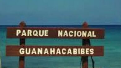 Parque Nacional Guanahacabibes estudia población de jutías conga y carabalí