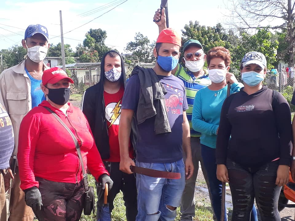 Intensifican labores en áreas verdes tras el paso del Huracán Delta