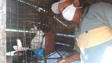 Alfredo Alvarado, Cultiva su Pedacito en Sandino