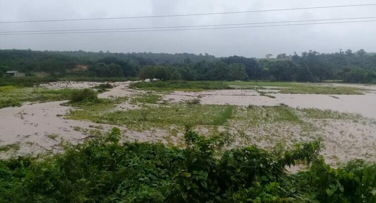 afectaciones agrícolas pinar