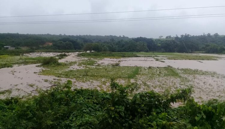 afectaciones agrícolas pinar