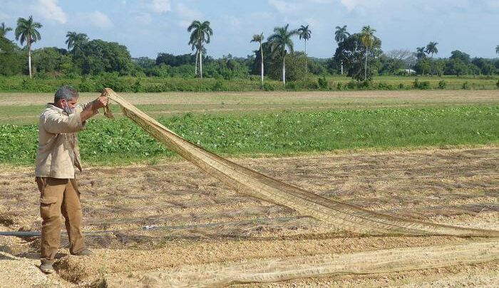 afectaciones Eta Pinar del Río
