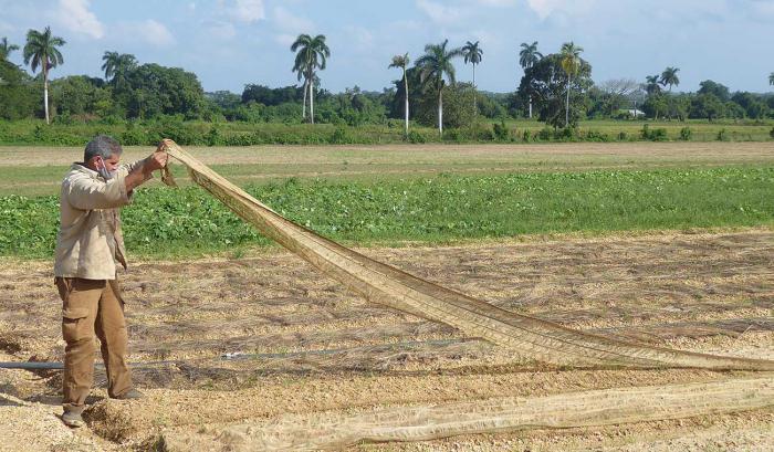 afectaciones Eta Pinar del Río