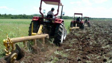 agricultura cubana