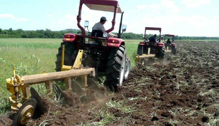 agricultura cubana