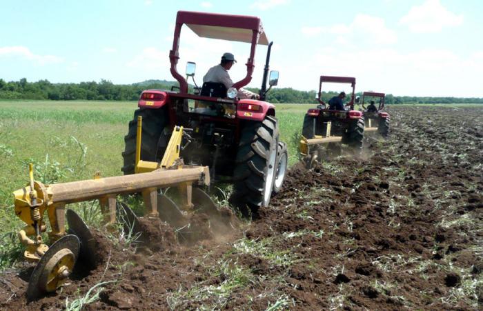 agricultura cubana