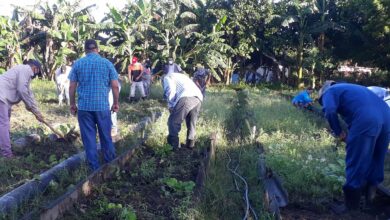 Establece sector de la Agricultura en Sandino plan emergente para impulsar producción de alimentos