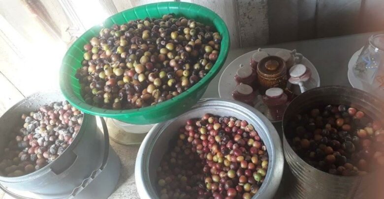 Un programa con sabor a café