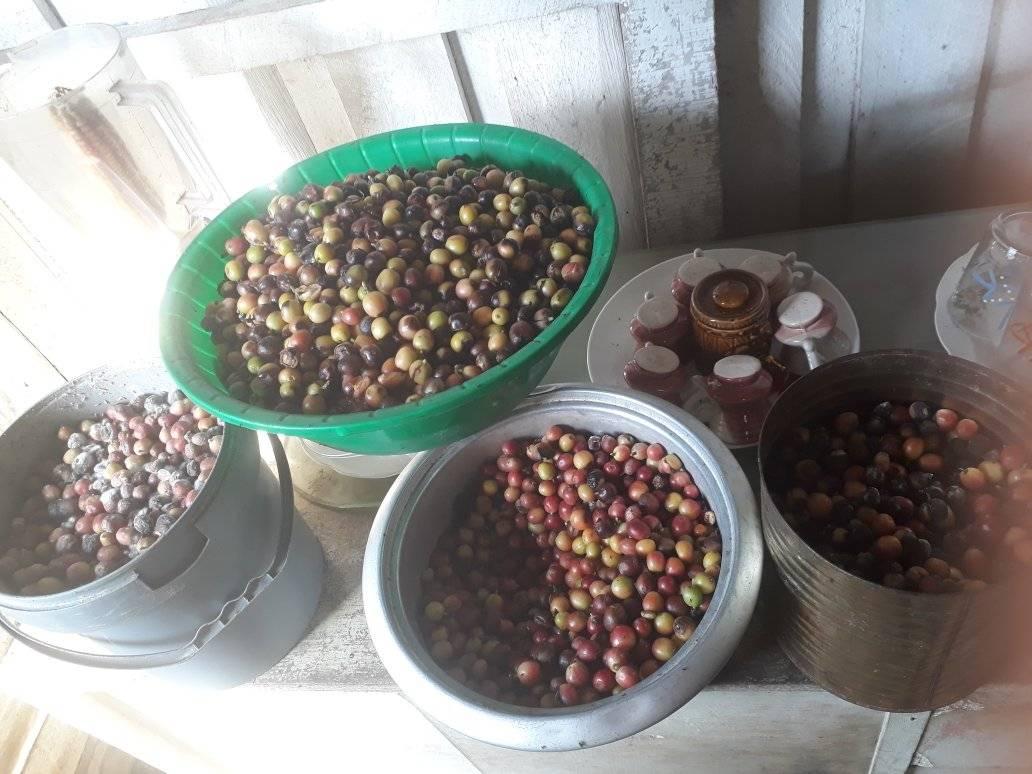 Un programa con sabor a café