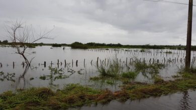Impacto de las lluvias asociadas a la Tormenta Tropical Eta