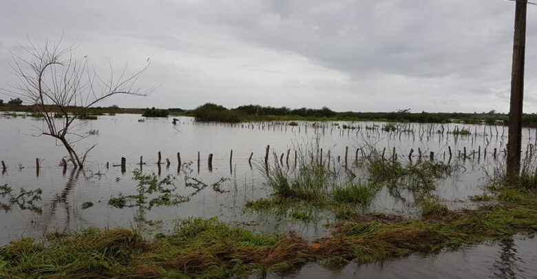 Impacto de las lluvias asociadas a la Tormenta Tropical Eta