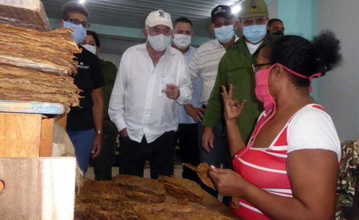 machado ventura Pinar