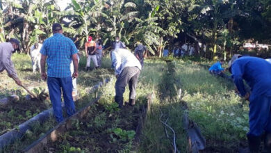 Agricultura con las manos en el surco