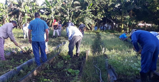 Agricultura con las manos en el surco