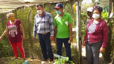 Visita Sandino Grupo Nacional de la Agricultura Urbana Suburbana y Familiar