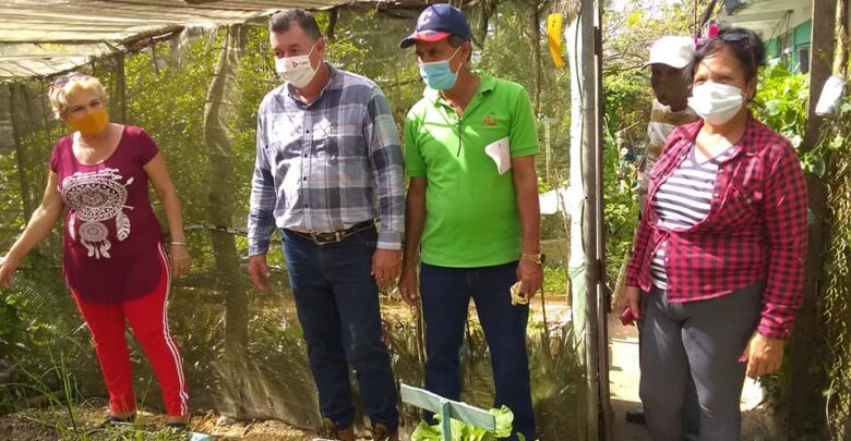 Visita Sandino Grupo Nacional de la Agricultura Urbana Suburbana y Familiar