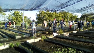 Trabajo voluntario en el municipio de Sandino