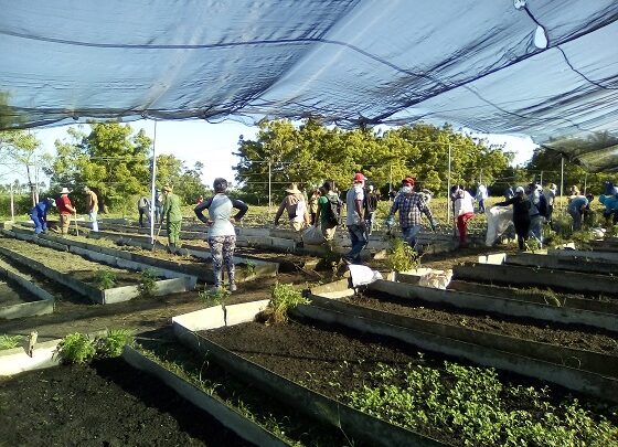 Trabajo voluntario en el municipio de Sandino