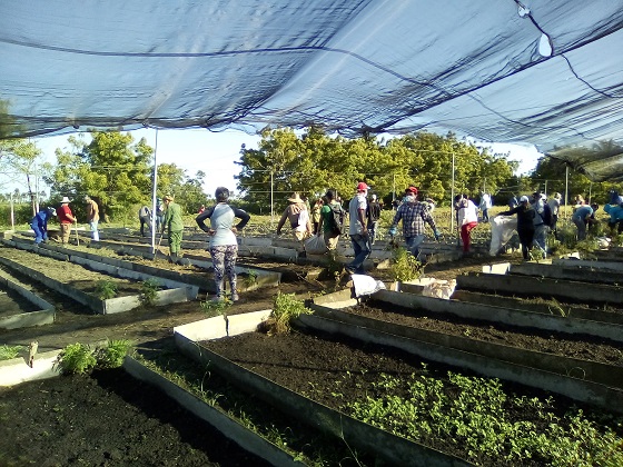 Trabajo voluntario en el municipio de Sandino