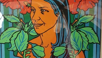 Abierta al público exposición en homenaje a Celia Sánchez Manduley en Sandino