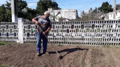 carga y pasaje producción de alimentos