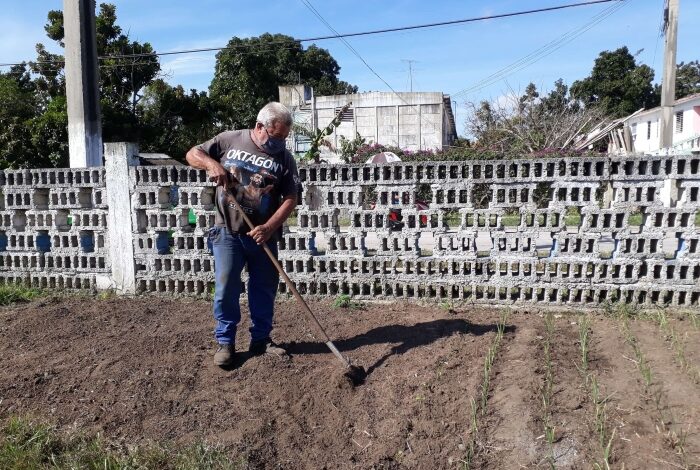 carga y pasaje producción de alimentos