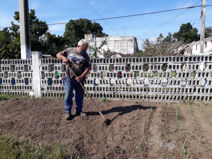 carga y pasaje producción de alimentos