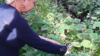 Si la Mujer sirve, la tierra sirve también