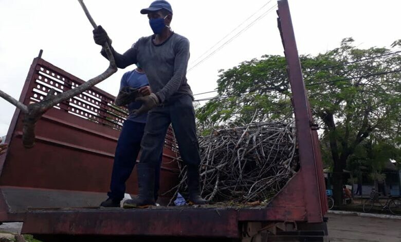 Tarea ordenamiento exhibe resultados halagueños en sectores sandinenses