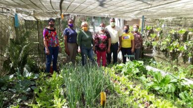 Próximamente en Sandino visita del grupo nacional de la Agricultura Urbana, Suburbana y Familiar