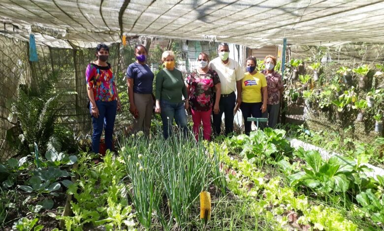 Próximamente en Sandino visita del grupo nacional de la Agricultura Urbana, Suburbana y Familiar