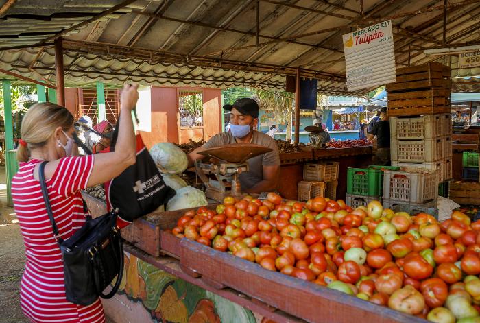 precios abusivos tarea ordenamiento