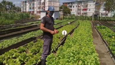 El autoabastecimiento municipal tarea primordial para los sandinenses