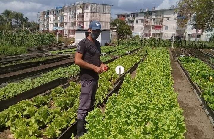 El autoabastecimiento municipal tarea primordial para los sandinenses