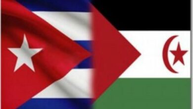 Ratifica Cuba su apoyo a la República Árabe Saharaui Democrática