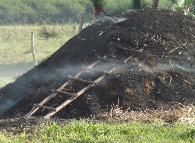 Fomenta producción de carbón exportable EAF Guanhacabibes