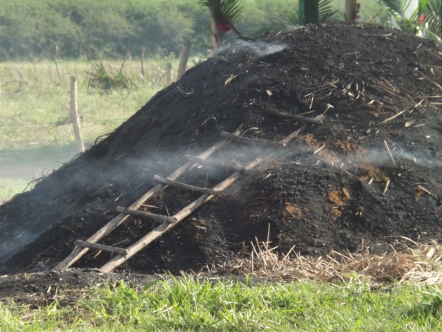 Fomenta producción de carbón exportable EAF Guanhacabibes