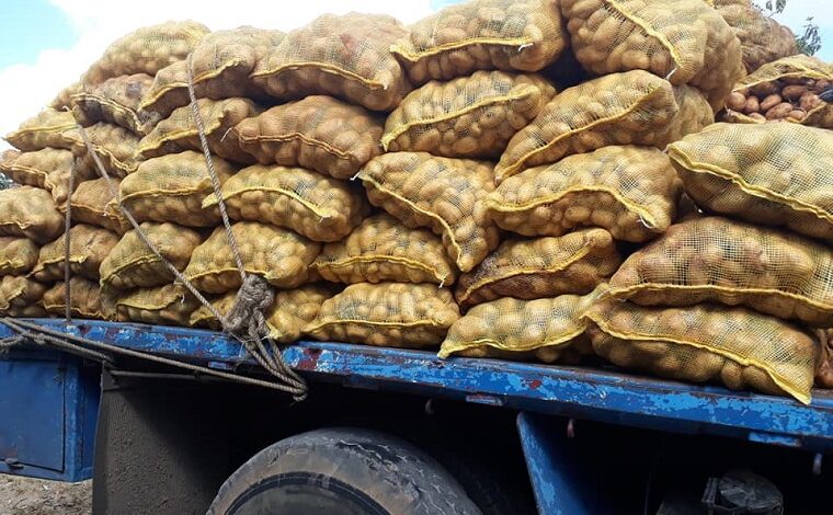 Distribución de papas en Sandino