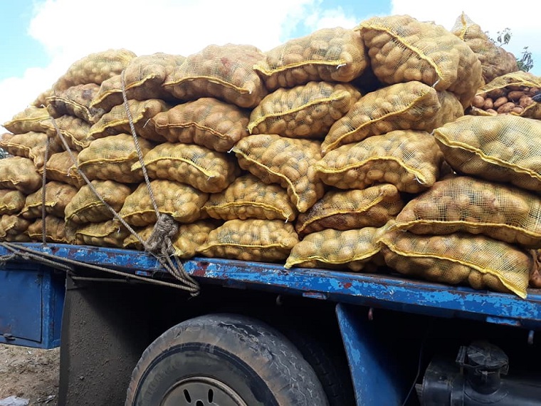 Distribución de papas en Sandino