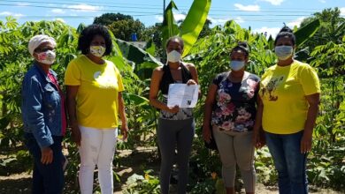 federadas mujeres sandino