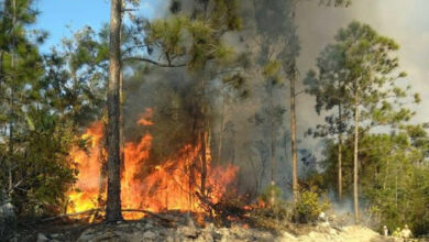 Prevenir incendios forestales tarea de orden en Sandino