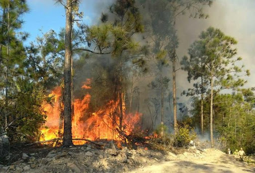 Prevenir incendios forestales tarea de orden en Sandino