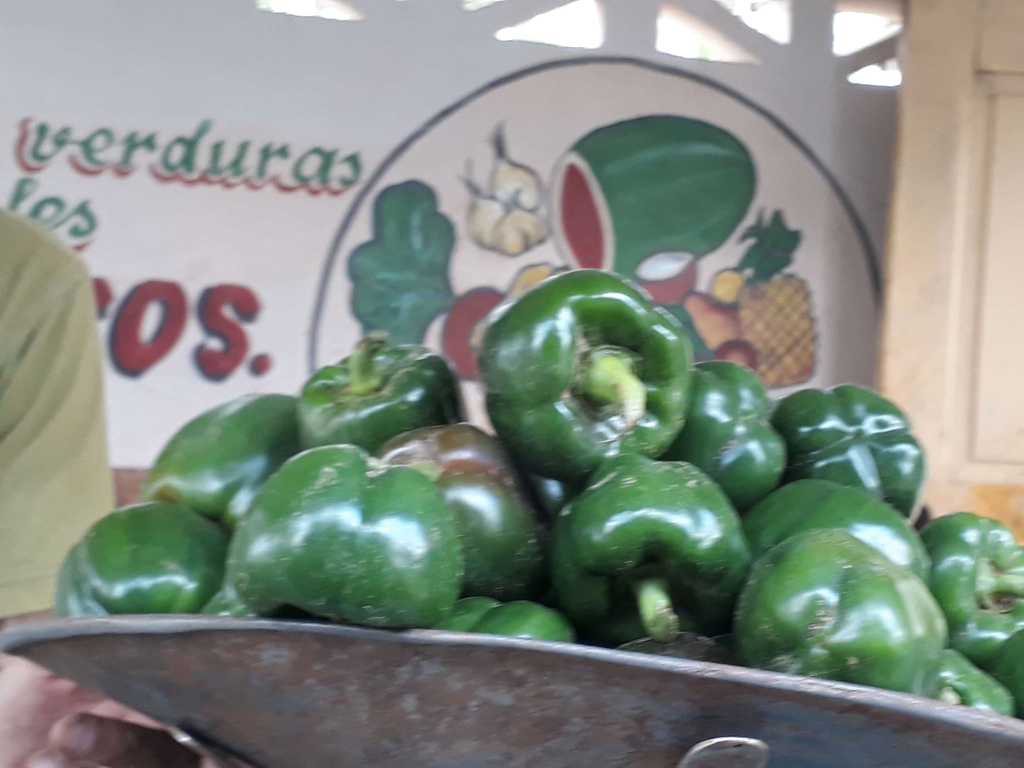 Acopio por una mejor distribución de productos agrícolas en Sandino