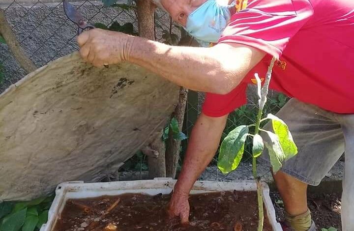 Gabriel Lobo Mesa, orgulloso de incorporarse al movimiento de la Agricultura Urbana