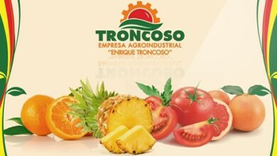 Avanzan proyectos de la empresa Enrique Troncoso en el municipio Sandino