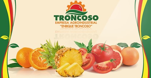 Avanzan proyectos de la empresa Enrique Troncoso en el municipio Sandino